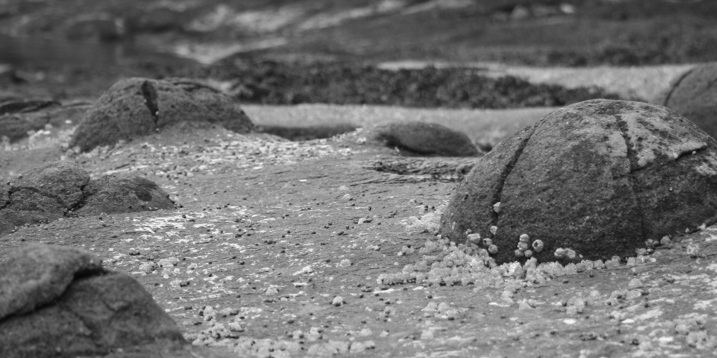 ocean-sculpted rock formations